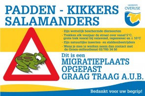 padden kikkers